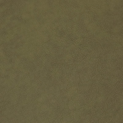B1733 Verdant Fabric: L10