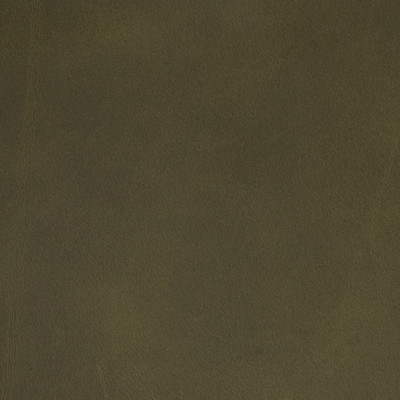 B1734 Old Fave Green Fabric: L10