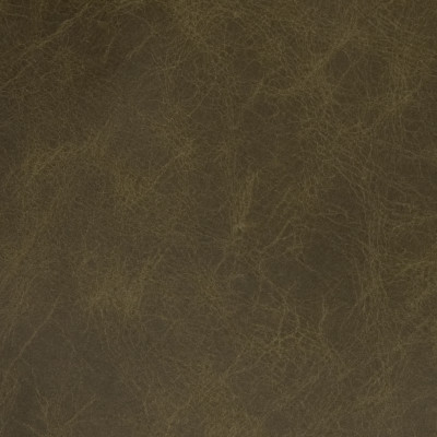 B1736 Frosted Green Grapes Fabric: L10