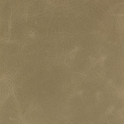 B1738 Macaroni Fabric: L10