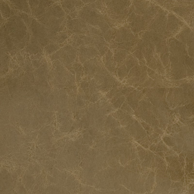 B1739 Thyme Fabric: L10