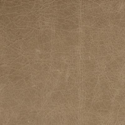 B1747 Oatmeal Fabric: L10