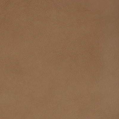 B1748 Malt Fabric: L10
