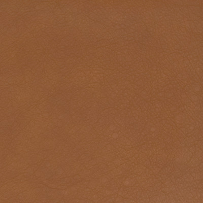 B1749 Cider Fabric: L10
