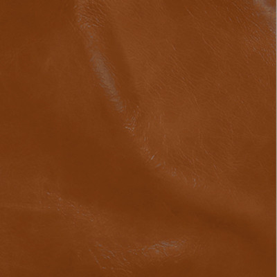 B1750 Oak Fabric: L10