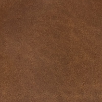 B1752 Simba Fabric: L10