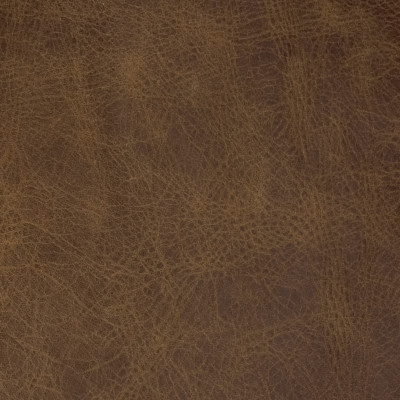 B1755 Wigwam Fabric: L10, LEATHER, LEATHER HIDE, BROWN