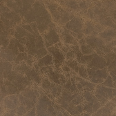 B1756 Topo Fabric: L10
