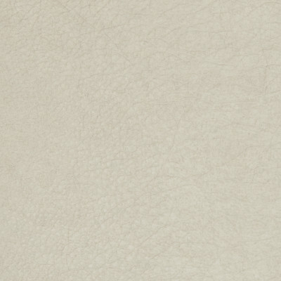 B1757 Pumice Fabric: L10