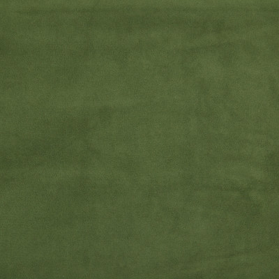 B2674 Forest Fabric: D09, B31, GREEN, VELVET, GREEN VELVET, SOLID, GREEN SOLID