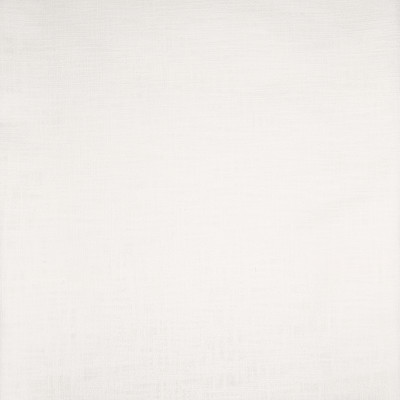 B3346 Snow Fabric: D23, D18, SOLID WHITE COTTON, WHITE TEXTURE COTTON, SNOW WHITE COTTON,WOVEN