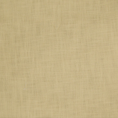 B3393 Chamomile Fabric: D23, D18, YELLOW SOLID, SOLID YELLOW, NEUTRAL SOLID, YELLOW TEXTURE, SOLID TEXTURE,WOVEN