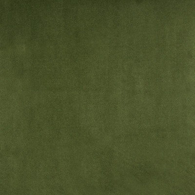 B3880 Meadow Fabric: E52, D30, GREEN SOLID VELVET, FOREST COLORED, WOVEN