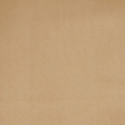 B3884 Sesame Fabric: D30, NEUTRAL, SOLID VELVET, BEIGE SOLID VELVET, KHAKI, BEIGE VELVET, TAUPE VELVET,WOVEN