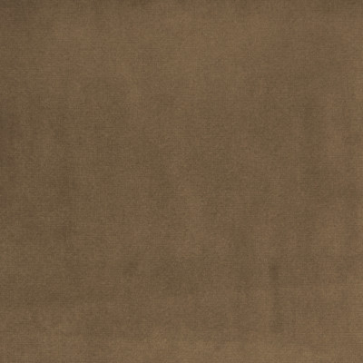 B3891 Chinchilla Fabric: