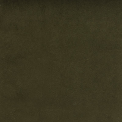 B3907 Oregano Fabric: D30, GREEN SOLID VELVET, FOREST COLORED,,WOVEN