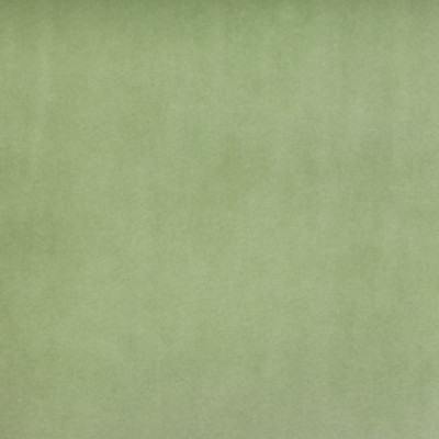 B3909 Mint Julep Fabric:
