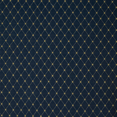 B4079 Ink Fabric: