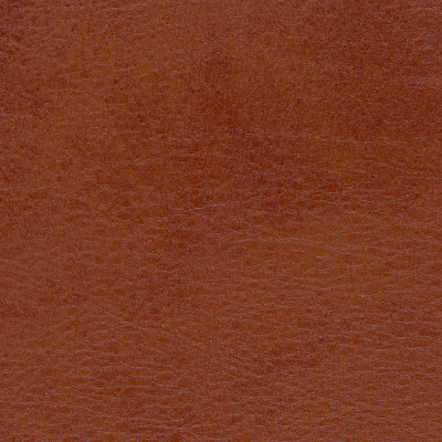 B4256 Allegro Old Whiskey Fabric: D38, ANTIFUNGAL, VINYL, MARINE VINYL, CONTRACT VINYL, BROWN VINYL, TWO TONE VINYL, BROWN AND BLACK VINYL, CONTRACT VINYL , ANTI-MICROBIAL, ANTI-STATIC