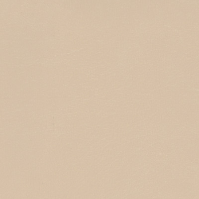 B4262 Navigator Sand Dollar Fabric: D38, ANTIFUNGAL, VINYL, MARINE VINYL, NUDE VINYL, FLESH TONE VINYL, CREAM VINYL, BEIGE VINYL, TEXTURED VINYL, SOLID VINYL TEXTURE, CONTRACT VINYL, ANTI-MICROBIAL, ANTI-STATIC, AUTOMOTIVE VINYL, COMMERCIAL, RESIDENTIAL