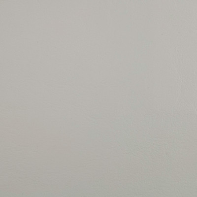 B4272 Zander Arctic Sky Fabric: D38, ANTIFUNGAL, VINYL, MARINE VINYL, WHITE TEXTURED VINYL, WHITE VINYL, LIGHT VINYL, OFF WHITE VINYL, CONTRACT VINYL, ANTI-MICROBIAL, ANTI-STATIC, AUTOMOTIVE VINYL, COMMERCIAL, RESIDENTIAL