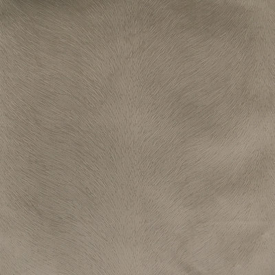 B4300 Driftwood Fabric: D39, SOLID ANIMAL, SKIN, ANIMAL TEXTURE, ANIMAL STRIPES, TAUPE, TAUPE ANIMAL, TAUPE ANIMAL SKIN,WOVEN, SKINS, SKIN