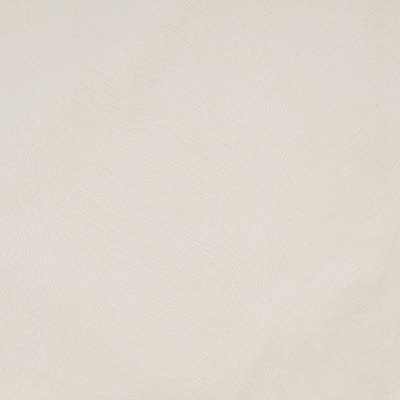 B4304 Millstone Fabric: E30, D39, CHENILLE, ANIMAL CHENILLE, ZEBRA STRIPE, ANIMAL STRIPES, TAUPE, NEUTRAL ANIMAL, WOVEN, SKINS, SKIN