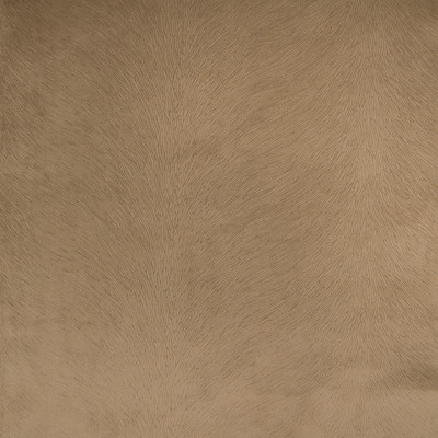 B4307 Camel Fabric: E30, D39, ANIMAL STRIPE, ZEBRA, ZEBRA STRIPES, BROWN, TAN, JACQUARD, WOVEN ANIMAL, TAUPE ANIMAL, SKINS, SKIN