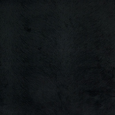 B4313 Black Fabric: E60, D39, BLACK, SOLID BLACK ANIMAL, ANIMAL TEXTURE, ANIMAL SKIN, ANIMAL PRINT, ANIMAL PATTERN, WOVEN, SKINS, SKIN
