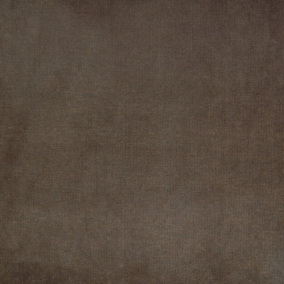 B4619 Chocolate Fabric: