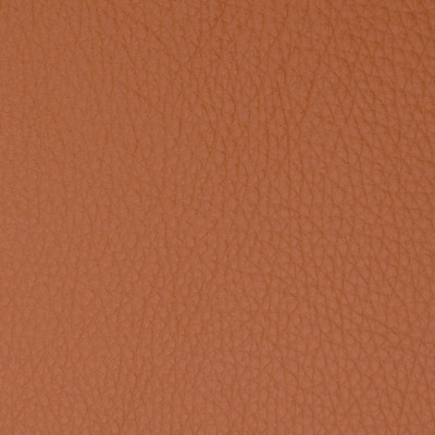 B5096 Brandy Fabric: