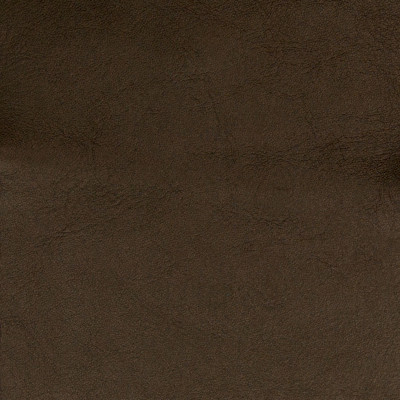 B5108 Chocolate Fabric: L12, L11, SMOOTH HIDE, SMOOTH LEATHER, CHOCOLATE LEATHER, DARK CHOCOLATE HIDE, DARK CHOCOLATE LEATHER