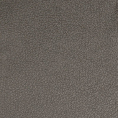 B5113 Pewter Fabric: L11, TEXTURED CHARCOAL HIDE, TEXTURED CHARCOAL LEATHER