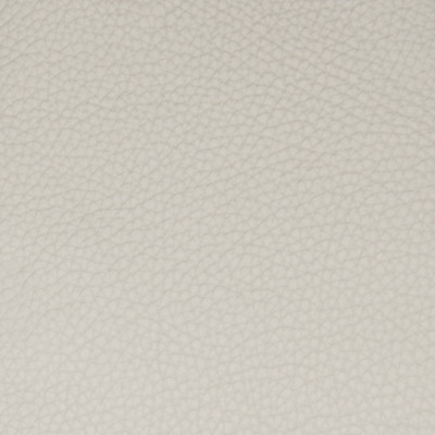 B5118 Parchment Fabric: L11, TEXTURED LIGHT GRAY HIDE, TEXTURED SOLID GREY HIDE, GREY LEATHER, GRAY LEATHER