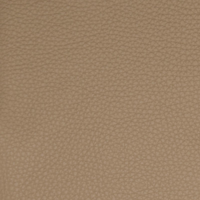 B5125 Mushroom Fabric: L12, L11, TAUPE, LIGHT BROWN, TAUPE LEATHER, LEATHER, GRAINY LEATHER, NEUTRAL LEATHER