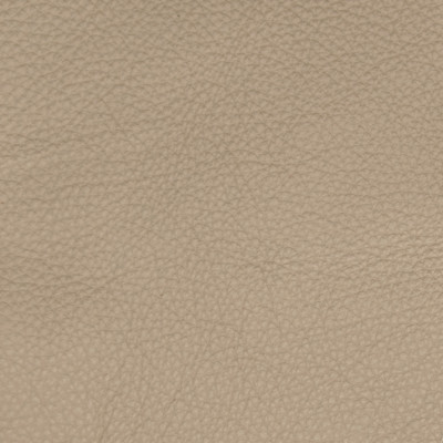 B5127 Grey Taupe Fabric: