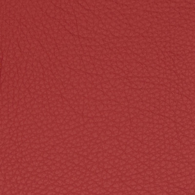 B5146 Lipstick Fabric: