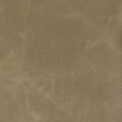 B5161 River Rock Fabric: L12, L11, COBBLESTONE, SLATE, GREY, GRAY, GRAY LEATHER, SLATE LEATHER, LEATHER, GREY LEATHER, NEUTRAL LEATHER HIDE, GREEN LEATHER HIDE, CRACKLED LEATHER HIDE, AGED LEATHER HIDE, DISTRESSED LEATHER HIDE