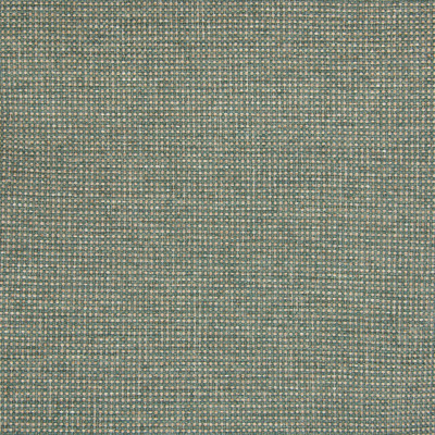 B5342 Cactus Fabric: D52, MADE IN USA, CONTRACT FABRIC, MULTI COLORED TEXTURE, MULTI COLORED SOLID, MULTI COLORED PLAIN, NEUTRAL CONTRACT, GREEN CONTRACT, TWO TONE, GREEN AND TAN CONTRACT,WOVEN
