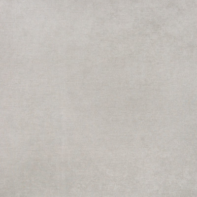 B5533 Sorrell Fabric: D55, CRYPTON HOME, CRYPTON FINISH, PERFORMANCE FABRIC, PERFORMANCE FABRICS, STAIN RESISTANT, ANTI-MICROBIAL, EASY TO CLEAN, STAIN RESISTANCE, GRAY VELVET, GREY VELVET, SOLID LIGHT GREY VELVET,WOVEN
