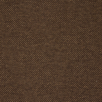 B5546 Cocoa Fabric: D55, CRYPTON HOME, CRYPTON FINISH, PERFORMANCE FABRIC, PERFORMANCE FABRICS, STAIN RESISTANT, ANTI-MICROBIAL, EASY TO CLEAN, STAIN RESISTANCE, LIGHT BROWN WOVEN, LIGHT BROWN TEXTURE, MEDIUM BROWN SOLID