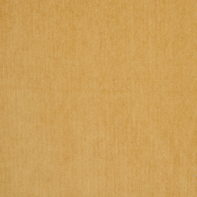 B5572 Cornsilk Fabric: E15, D55, CRYPTON HOME, CRYPTON FINISH, PERFORMANCE FABRIC, PERFORMANCE FABRICS, STAIN RESISTANT, ANTI-MICROBIAL, EASY TO CLEAN, STAIN RESISTANCE, YELLOW CHENILLE, SOLID YELLOW,WOVEN