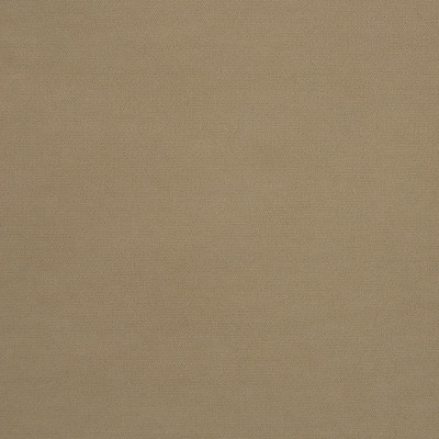 B5617 Cliff Fabric: D56, CRYPTON, CRYPTON FINISH, CRYPTON HOME, EASY TO CLEAN, PERFORMANCE, ANTIMICROBIAL, STAIN RESISTANT, STAIN RESISTANCE, BEIGE VELVET, KHAKI VELVET