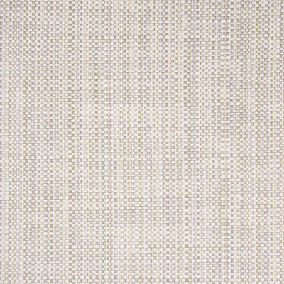 B5620 Rain Fabric: D56, CRYPTON, CRYPTON FINISH, CRYPTON HOME, EASY TO CLEAN, PERFORMANCE, ANTI-MICROBIAL, STAIN RESISTANT, STAIN RESISTANCE, BEIGE WOVEN, KHAKI WOVEN, SANDY COLORD TEXTURE, BEIGE TEXTURE