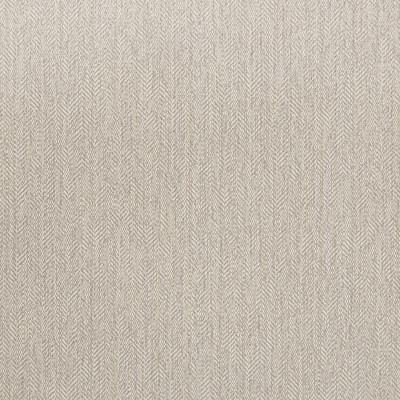 B5636 Nickel Fabric: D56, CRYPTON, CRYPTON FINISH, CRYPTON HOME, EASY TO CLEAN, PERFORMANCE, ANTI-MICROBIAL, STAIN RESISTANT, STAIN RESISTANCE, GRAY HERRINGBONE, GREY GEOMETRIC, GREY TEXTURE, MOUSE, LIGHT GREY, ZINC,WOVEN