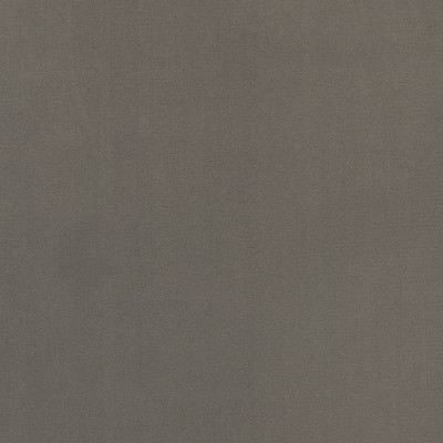 B5640 Cobblestone Fabric: D56, CRYPTON, CRYPTON FINISH, CRYPTON HOME, EASY TO CLEAN, PERFORMANCE, ANTIMICROBIAL, STAIN RESISTANT, STAIN RESISTANCE, GREY VELVET, STONE COLORED VELVET, STONE VELVET, LIGHT GREY VELVET, LIGHT GRAY VELVET