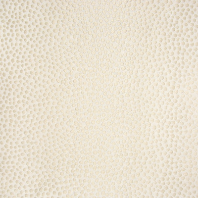 B6018 Ecru Fabric: D62, LIGHT KHAKI MATELASSES, VANILLA DOT MATELASSES, SKIN, ANIMAL SKIN MATELASSES,WOVEN