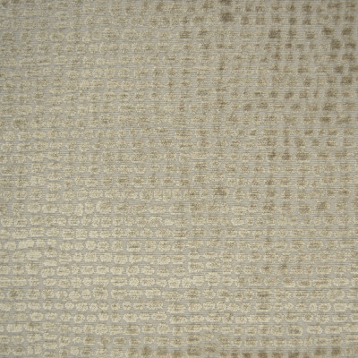 B6409 Foam Fabric: D68, ANIMAL SKIN, ANIMAL DOT, CHENILLE DOT, TEXTURED DOT,WOVEN
