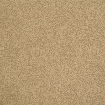 B6426 Almond Fabric: D68, SMALL SCALE FLORAL CHENILLE, SMALL SCALE SCROLL, SMALL SCALE CHENILLE, CHUNKY CHENILLE