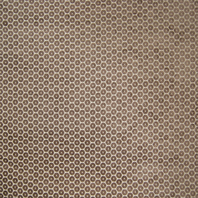 B6438 Sepia Fabric: D68, MOCHA DOT, LATTE DOT, CHOCOLATE DOT, MILK CHOCOLATE DOT VELVET,WOVEN